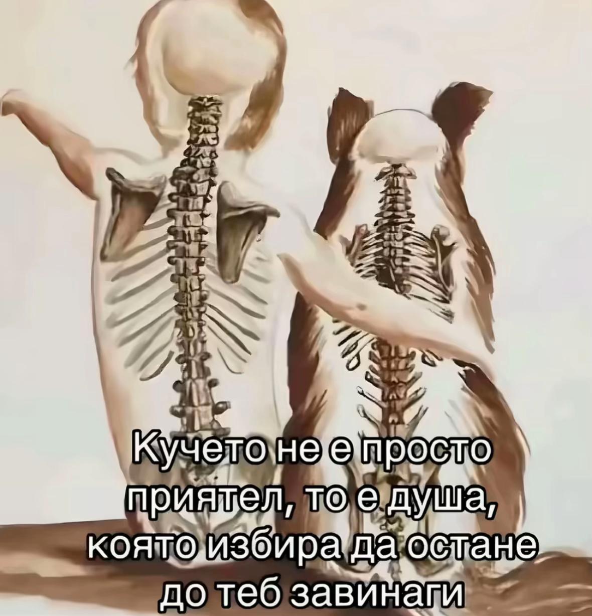 @Mira