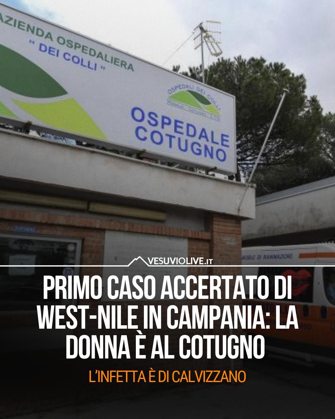 @Vesuviolive.it