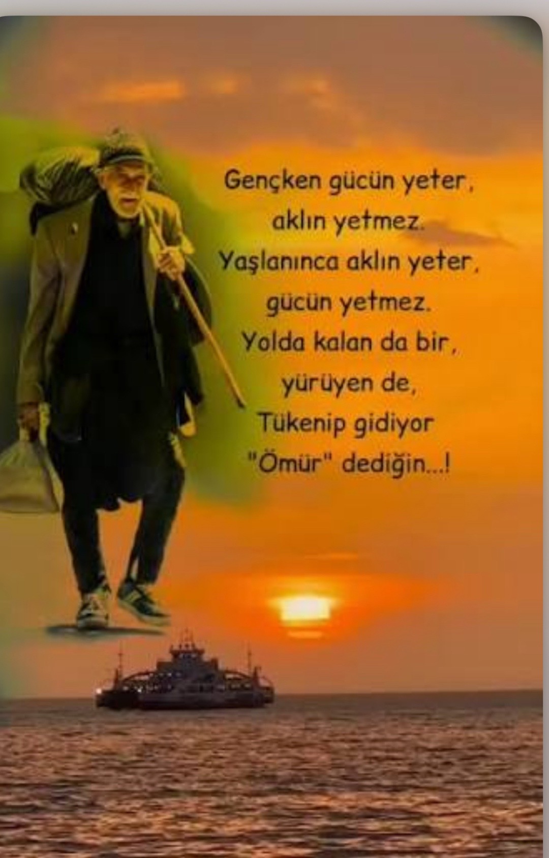 @ZERDALi