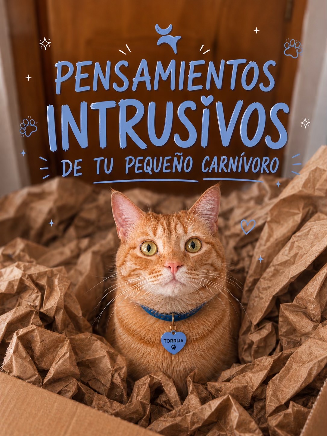 @- Alejandra 🐱💕