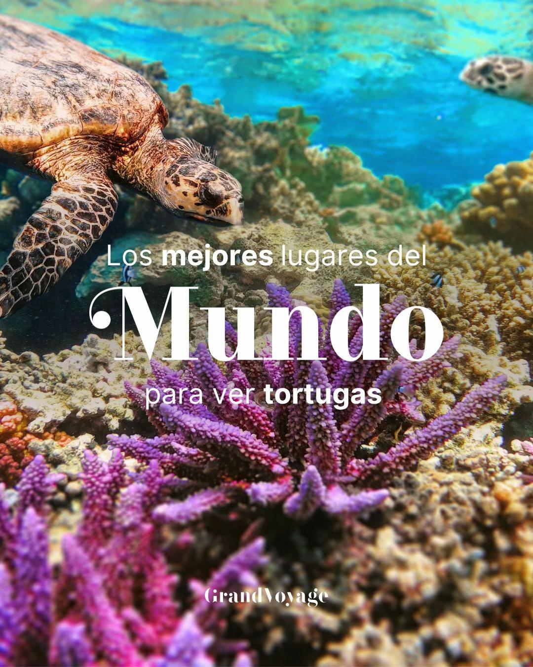 @GrandVoyage
