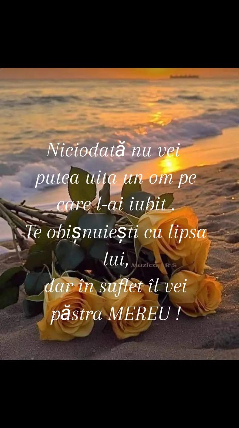 @Violeta Ana Damaschin