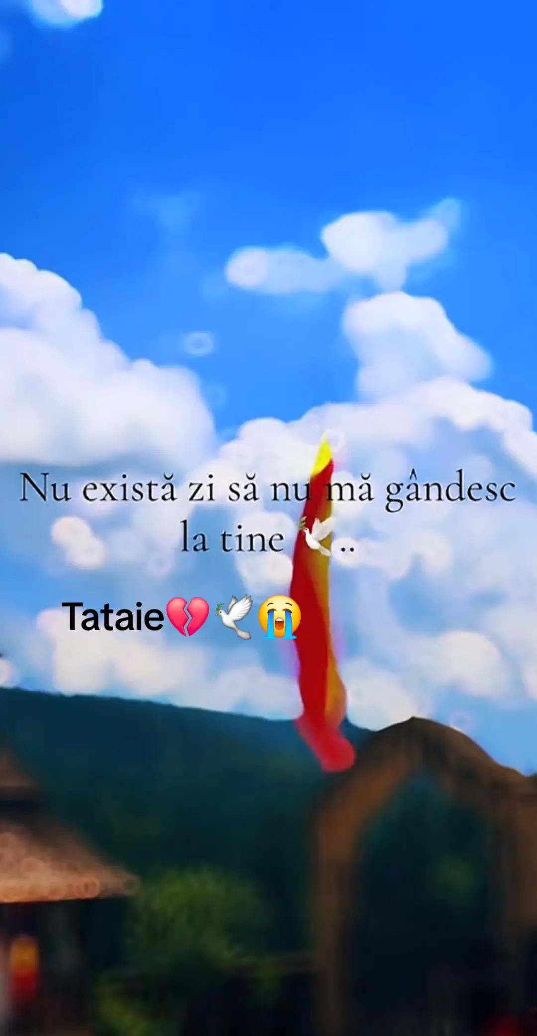 @Antonescu Ghiță Mada