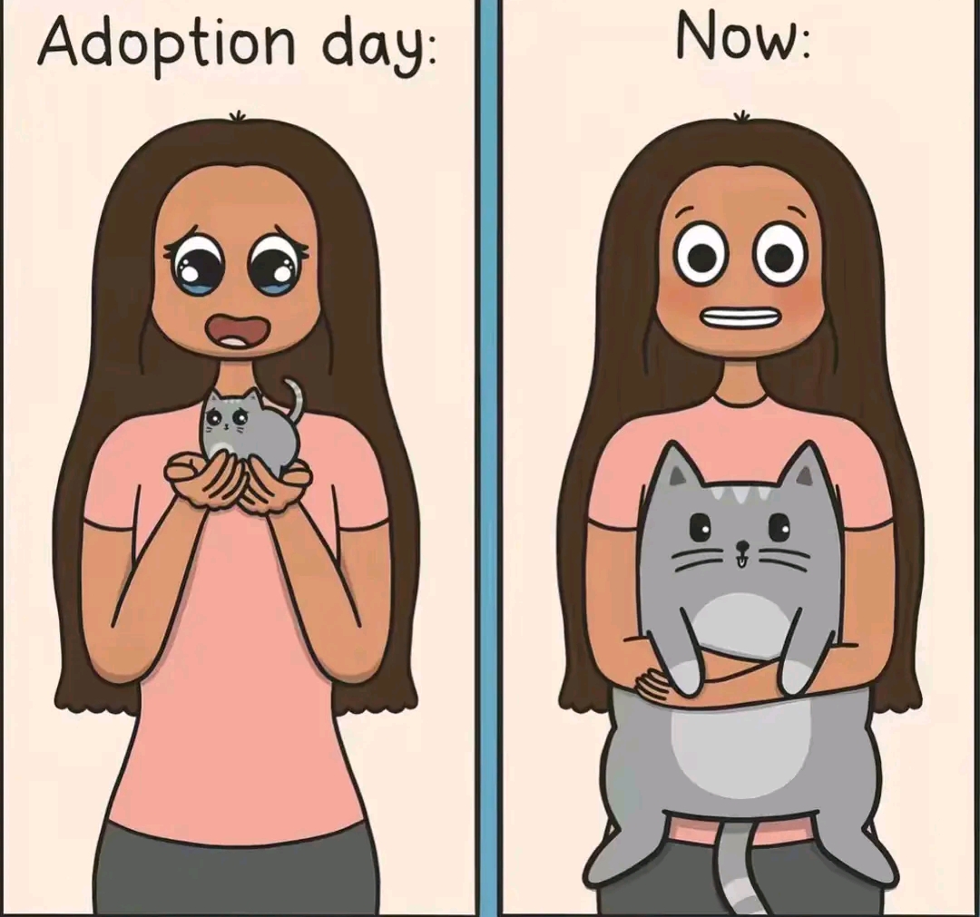 @;@