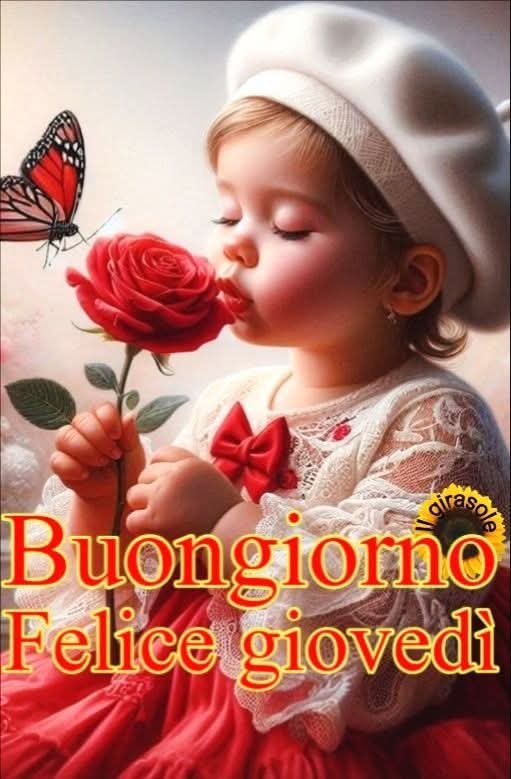 @francasferrasigno