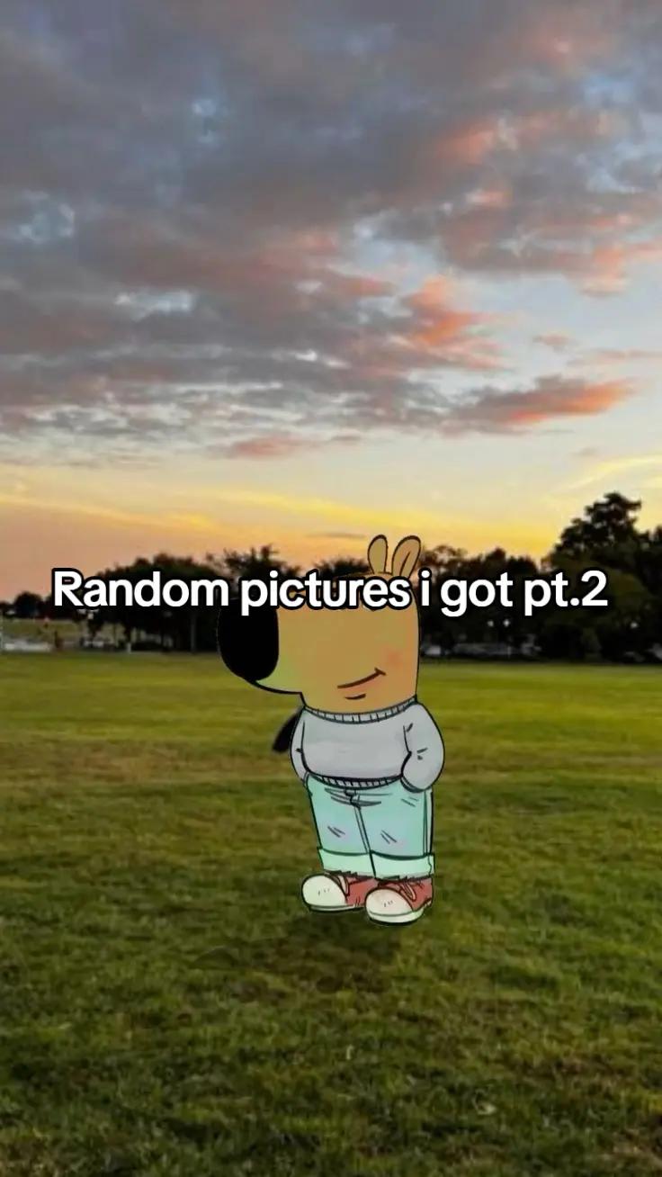 @Elon