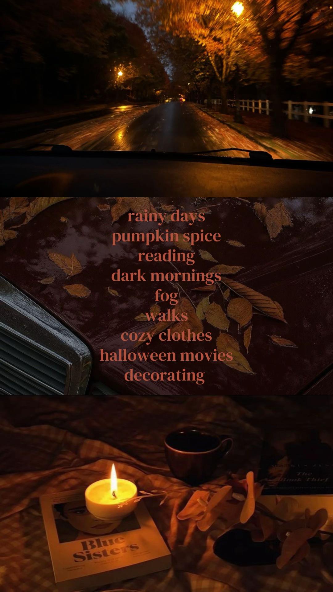 @falltok 🍂