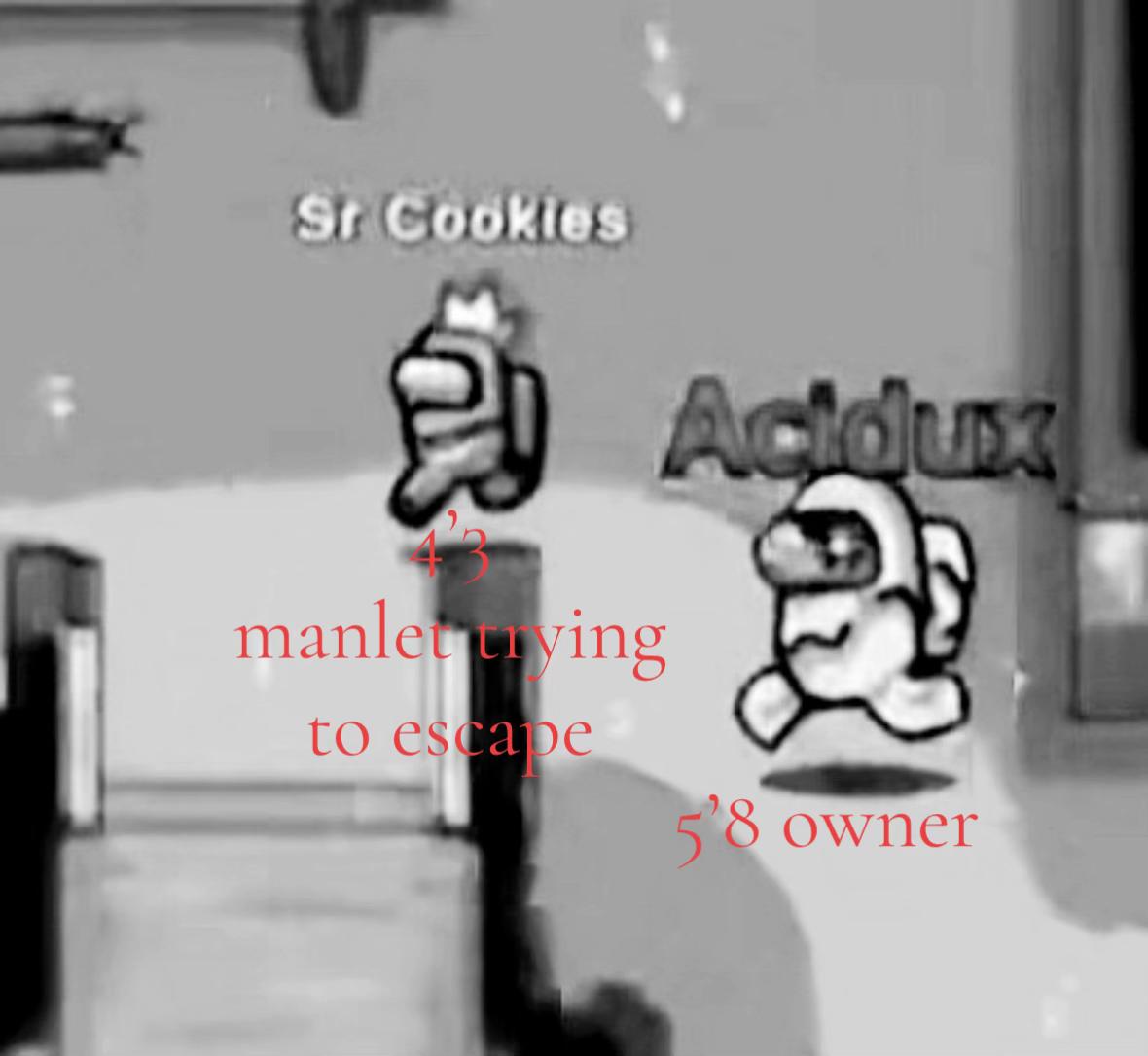 @malnourishedvista🫐