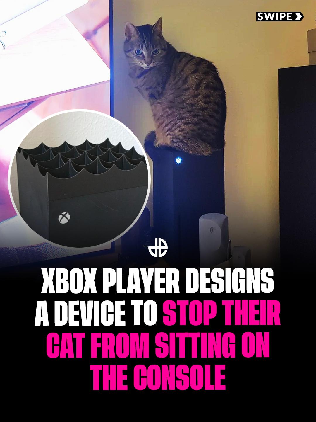 @Dexerto