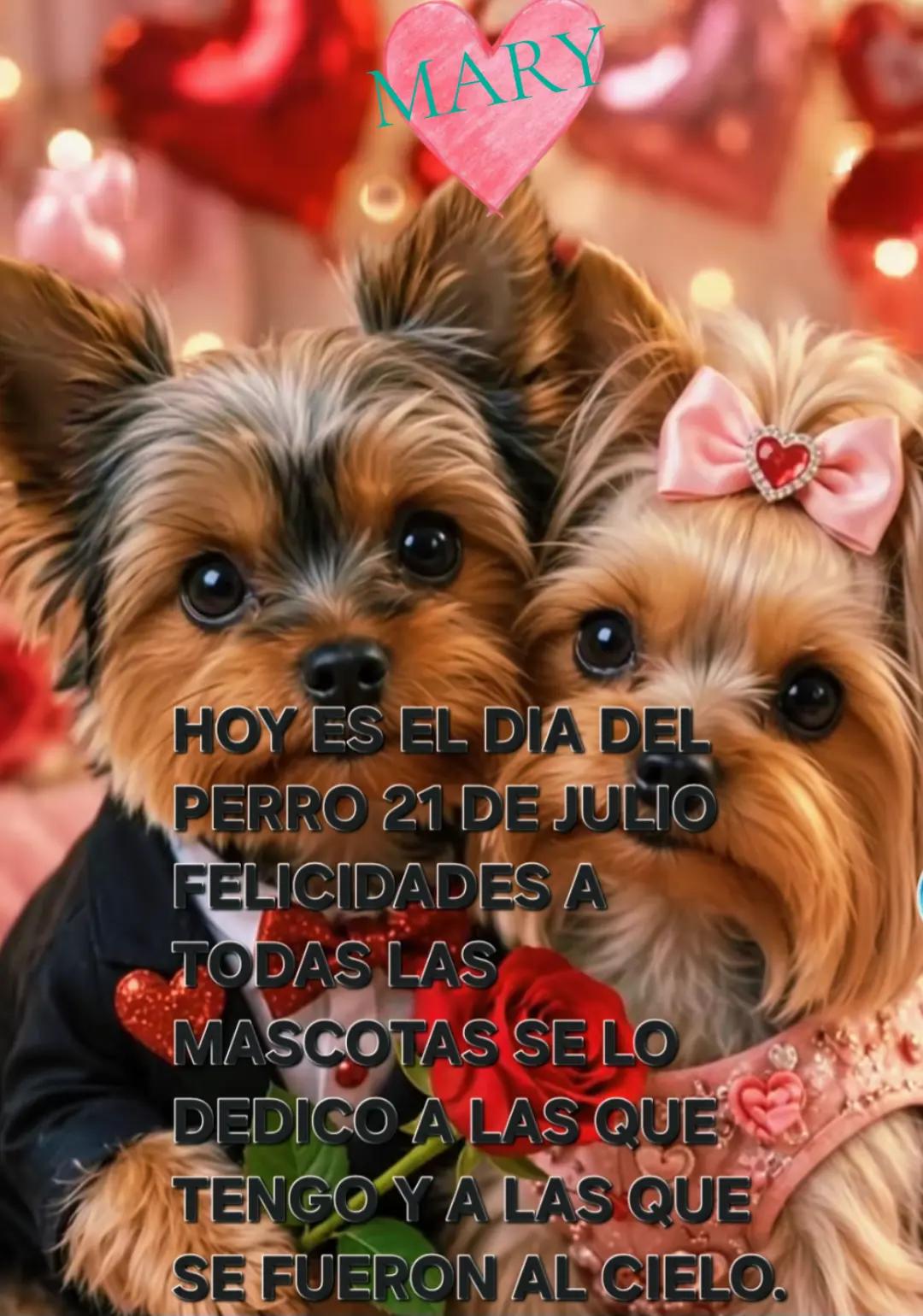 @Mary