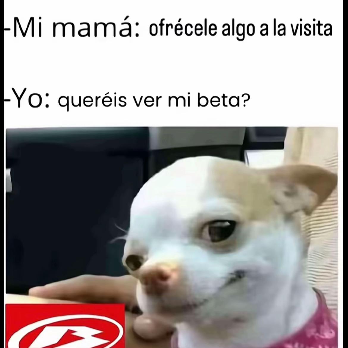 @Nerea Moreno 🐺
