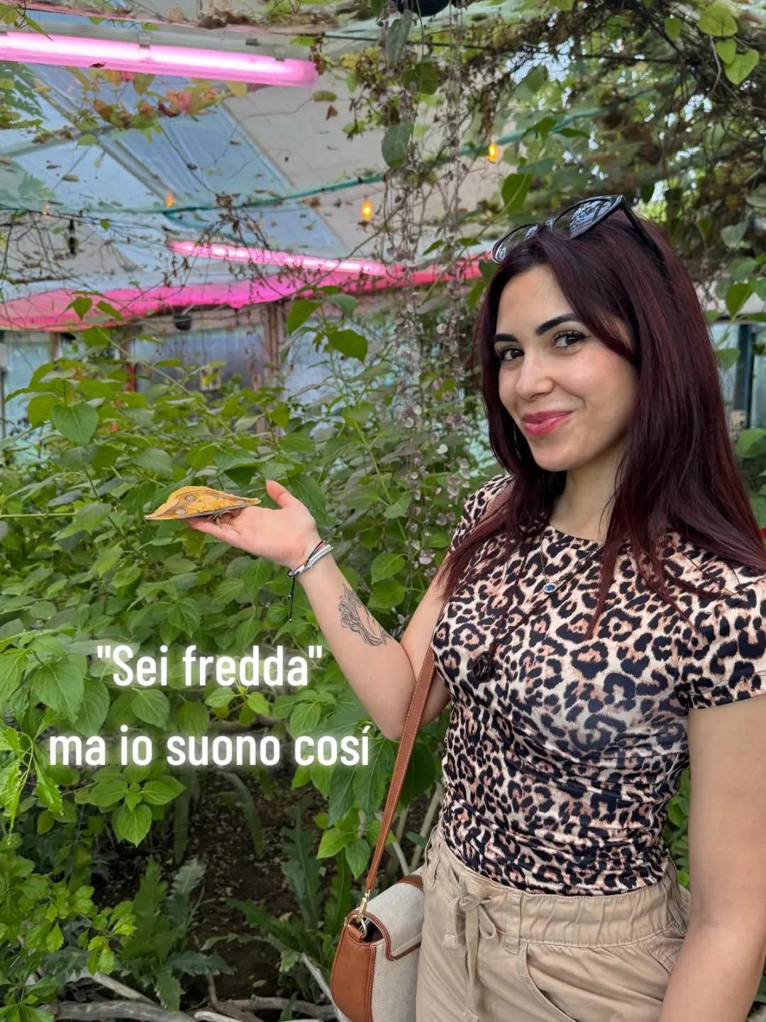@Ilary 🌷