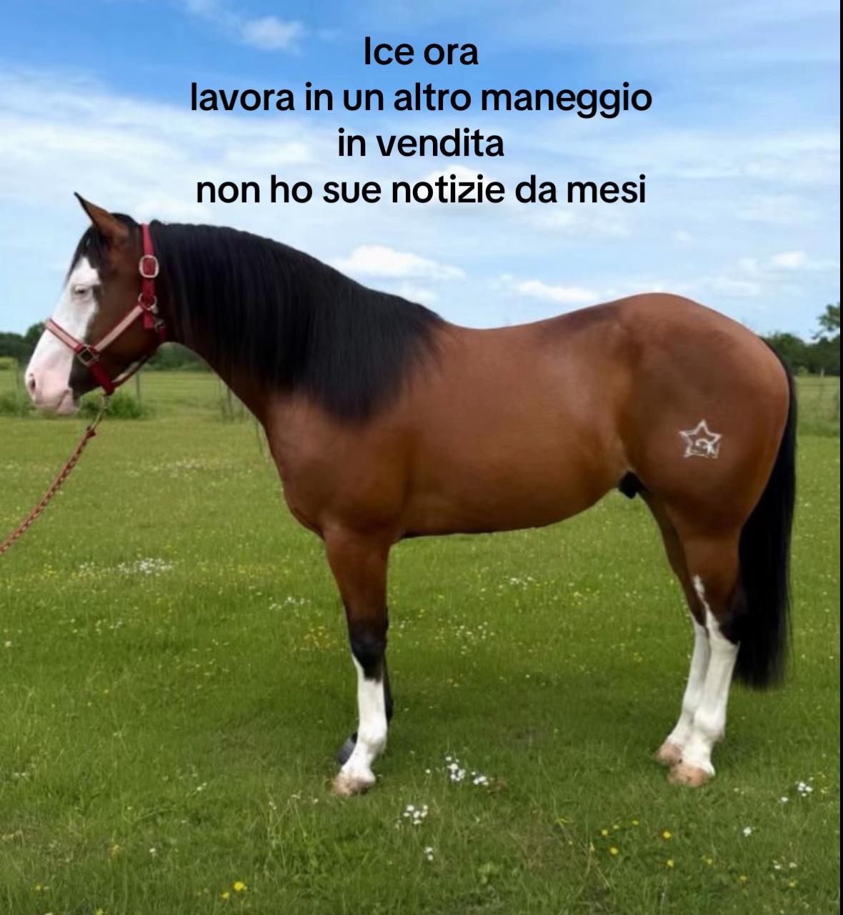 @ginevra🐰