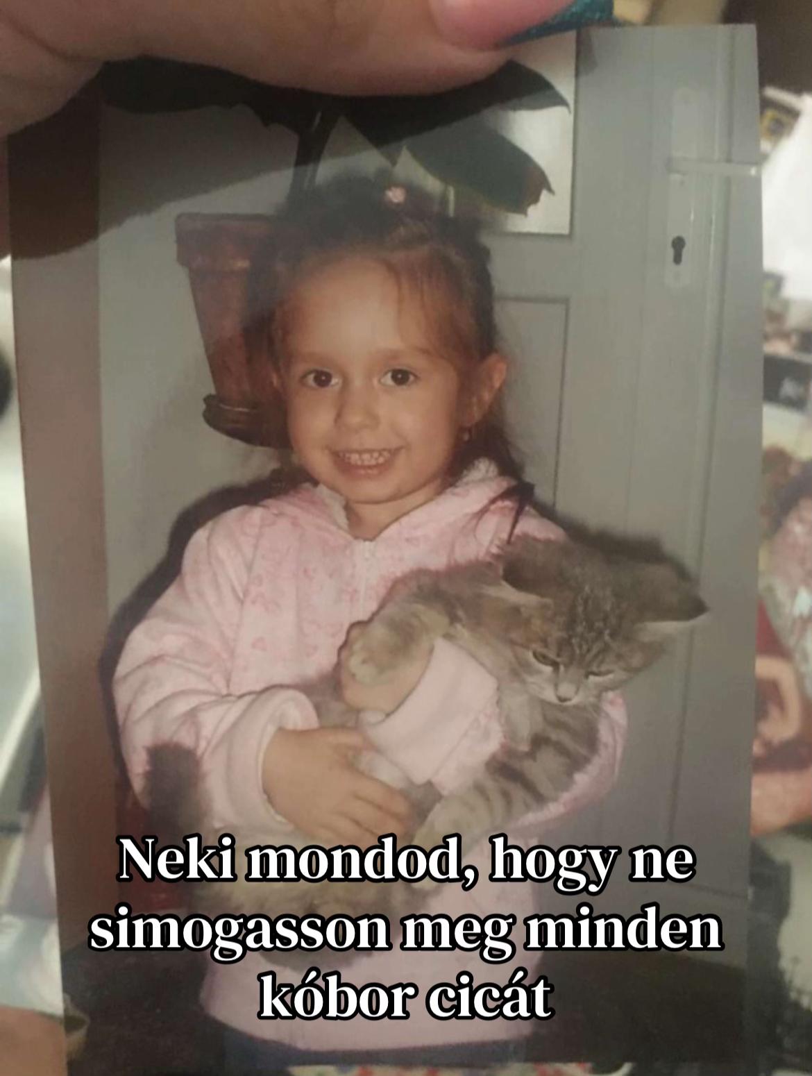 @Oláh Dorka