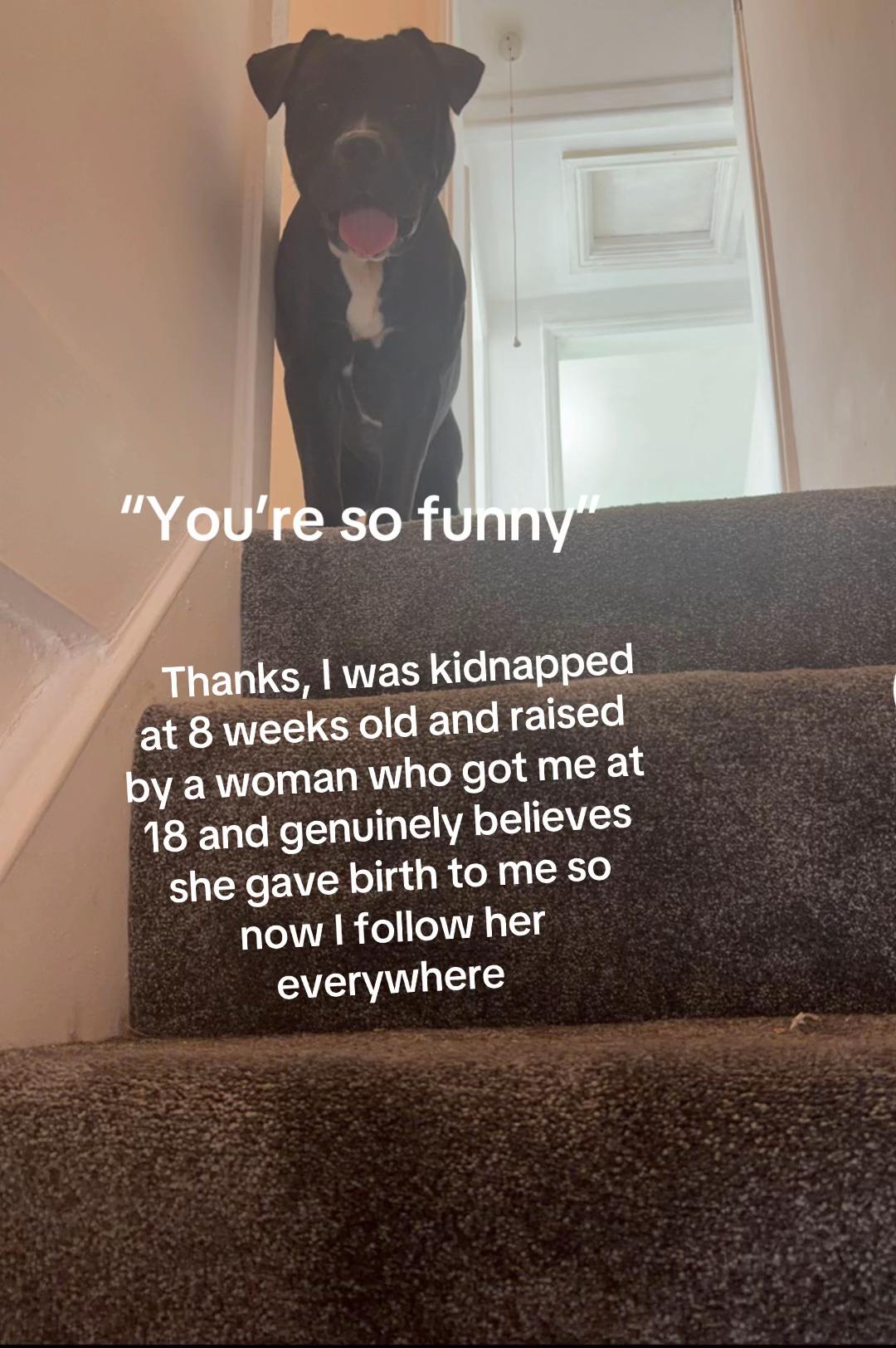 @jdbludior