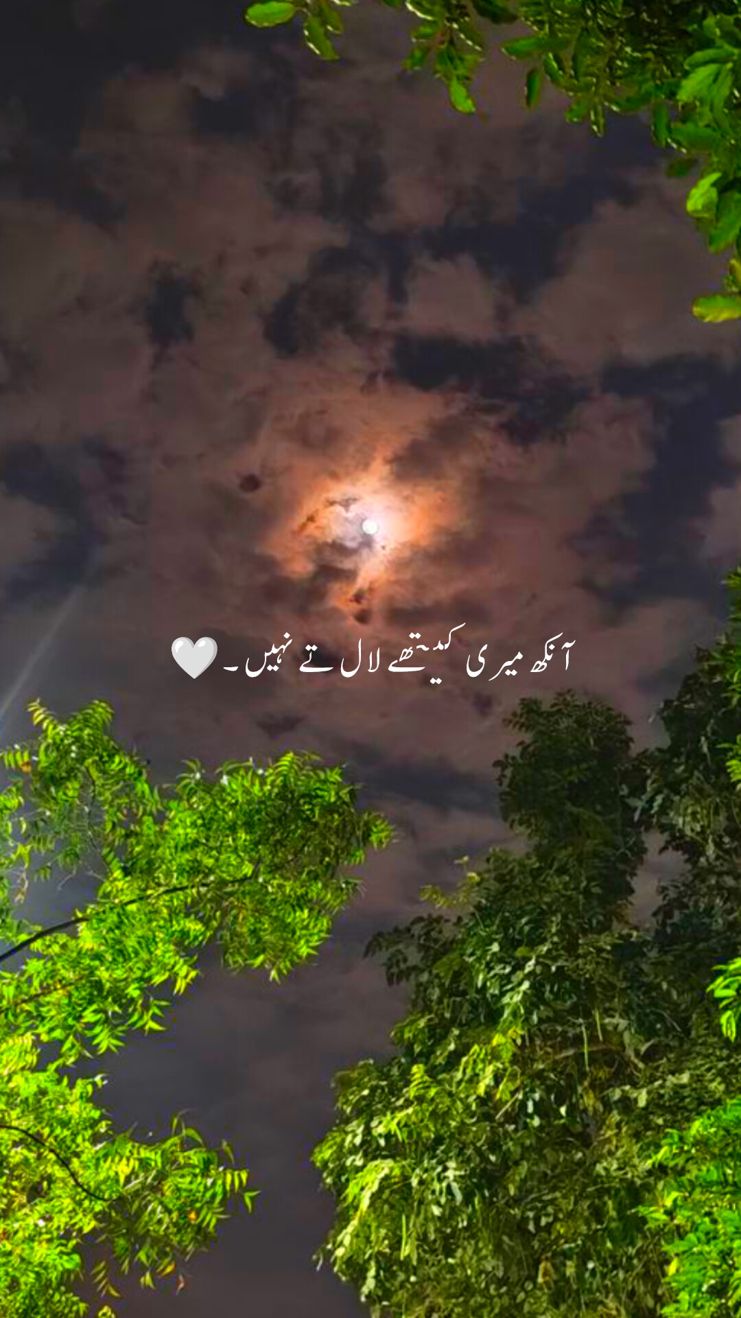 @Cute Potery