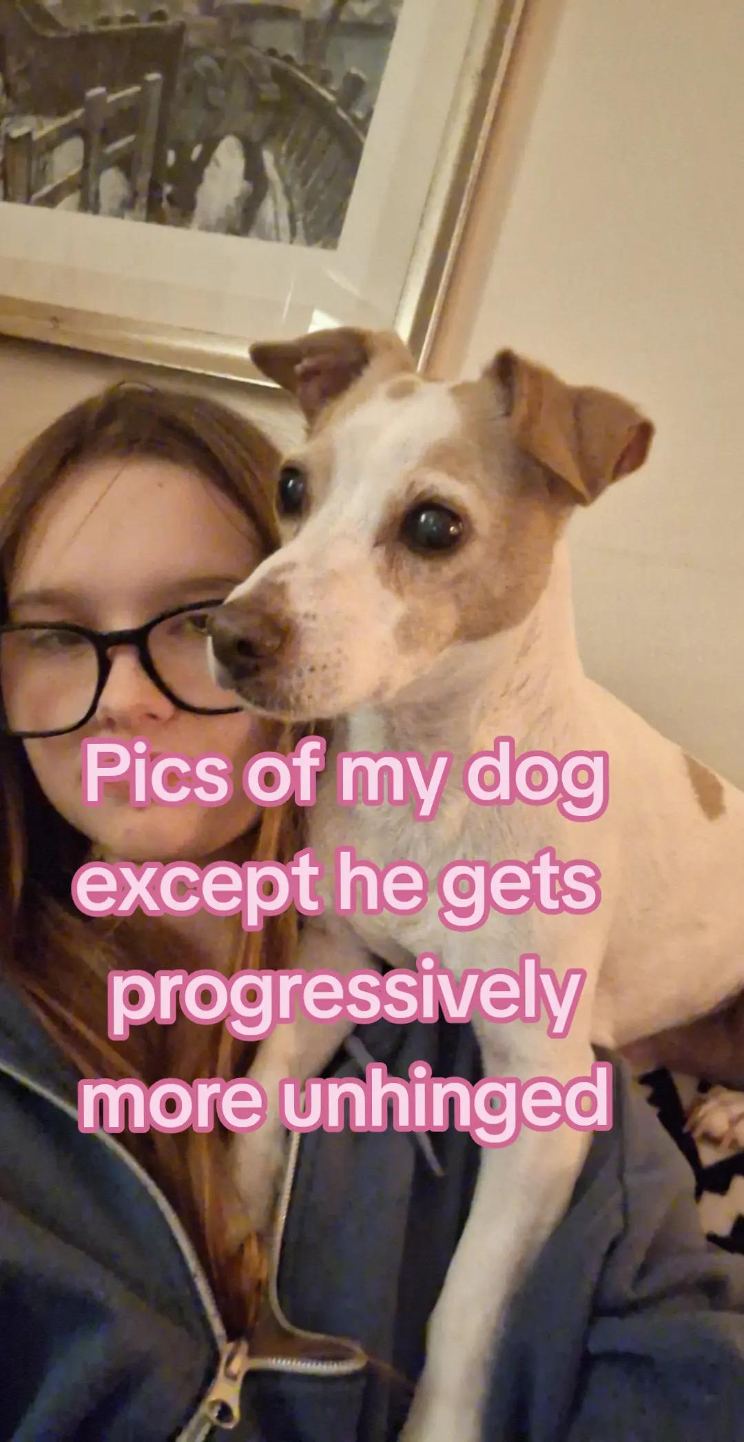 @Dani