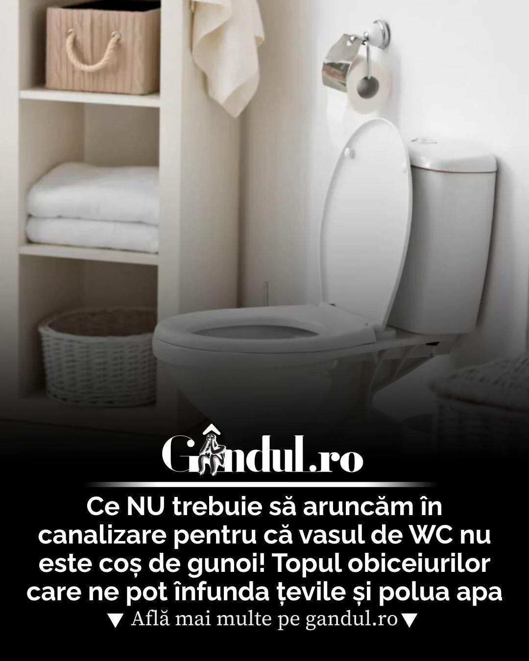 @Gandul Romania