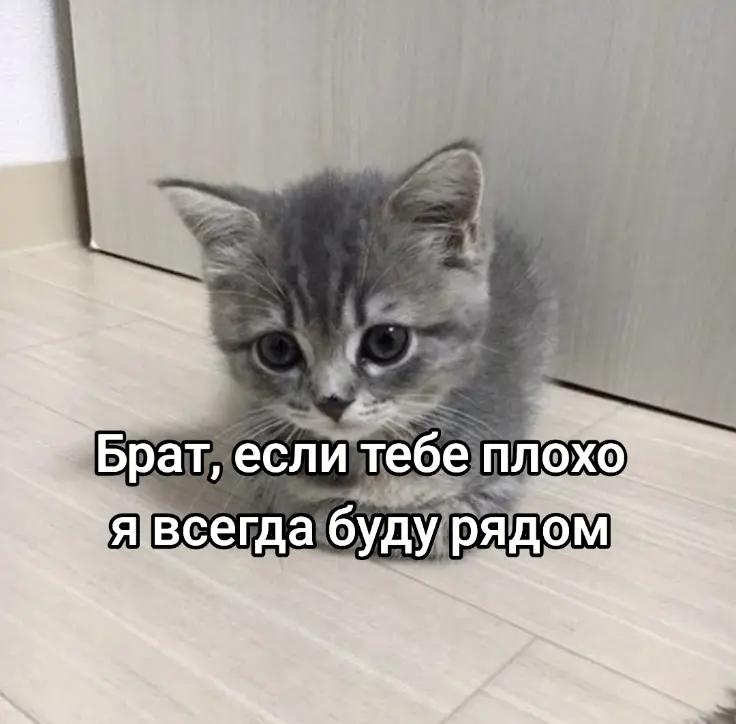 @53RG0
