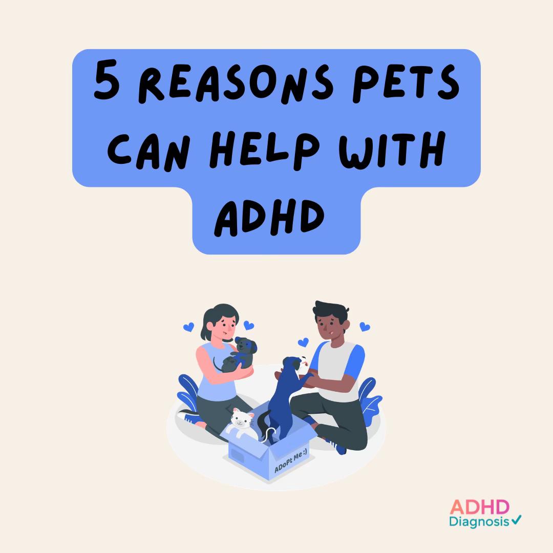 @ADHDDiagnosis