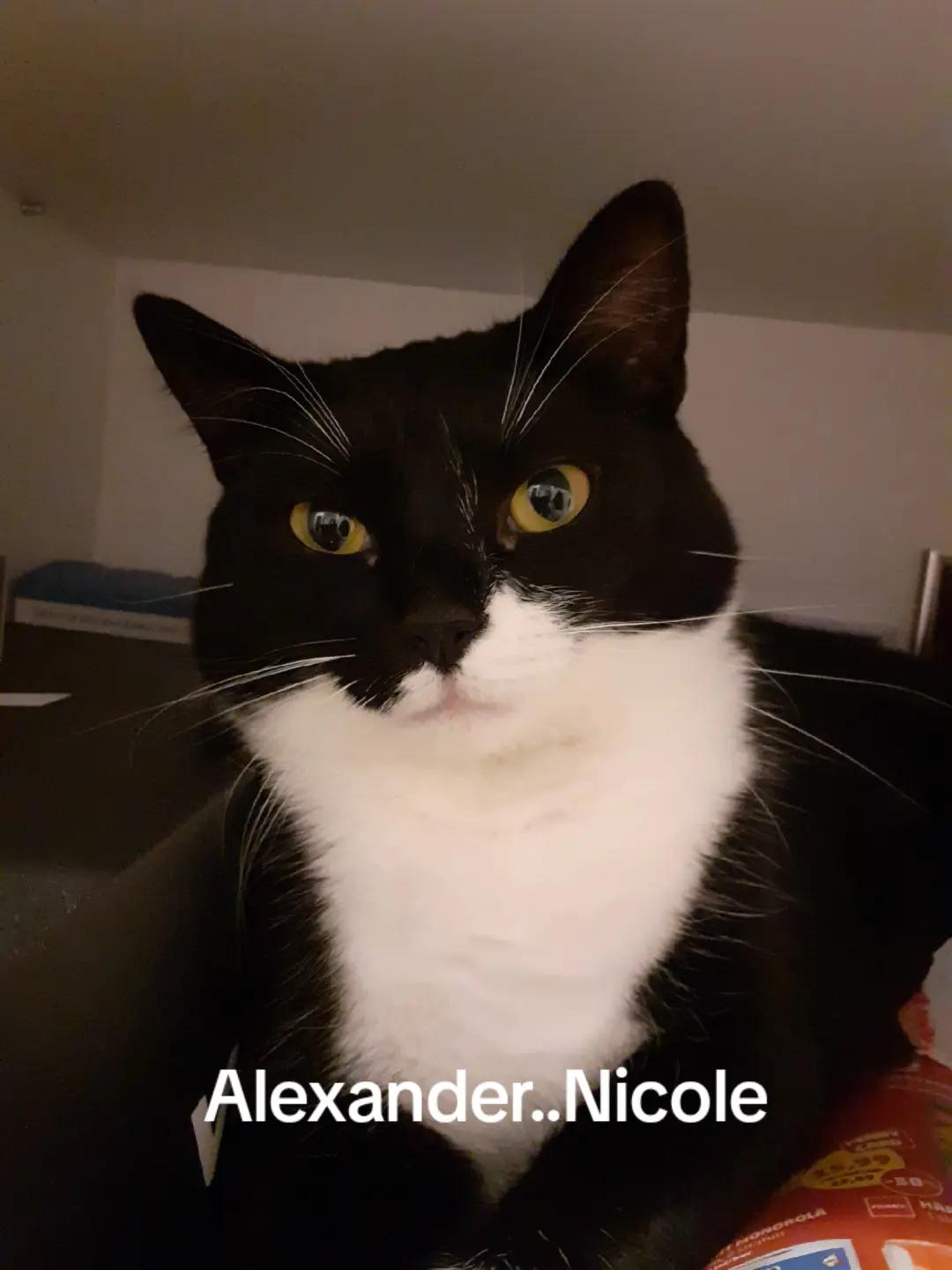 @Alexander..Nicole