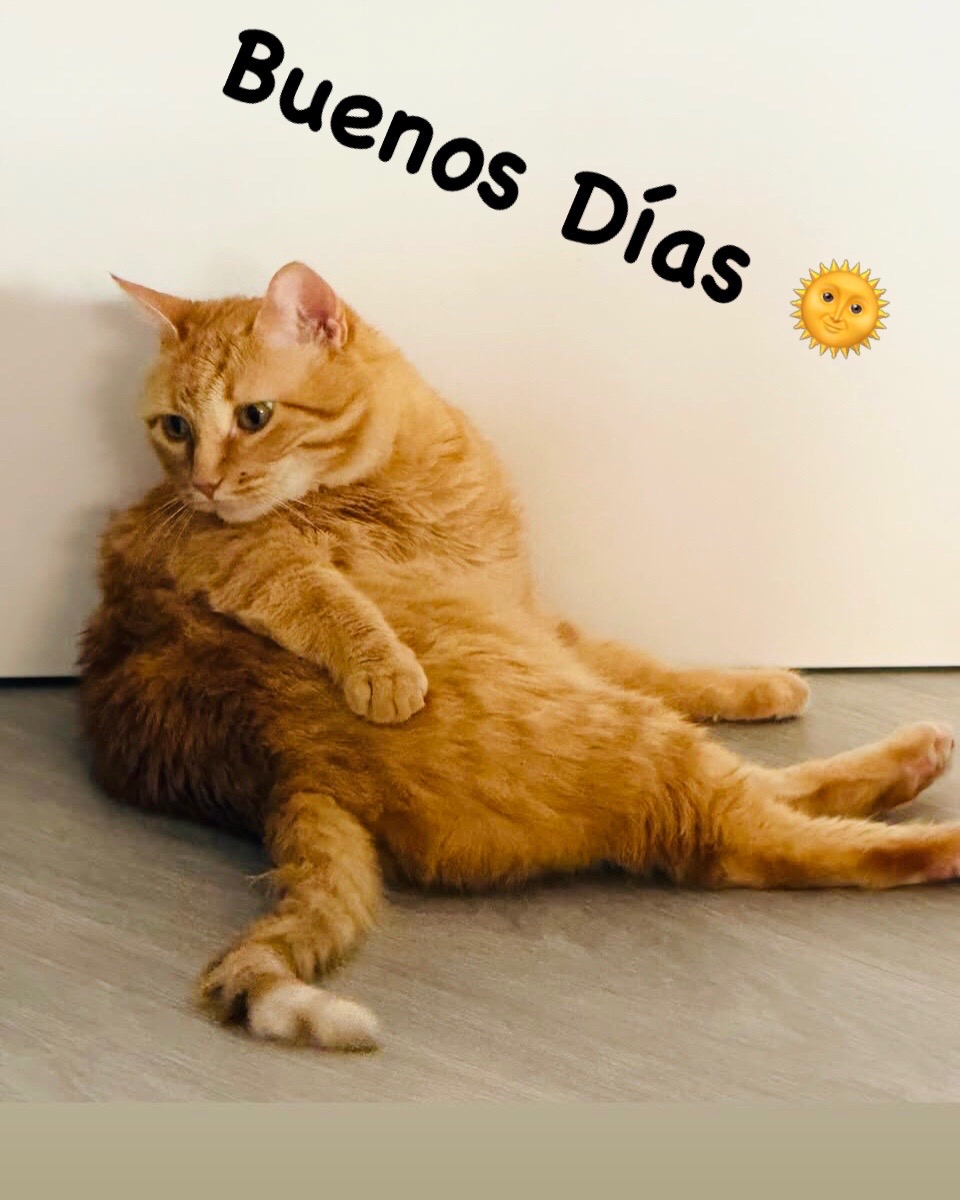 @brujiarcos