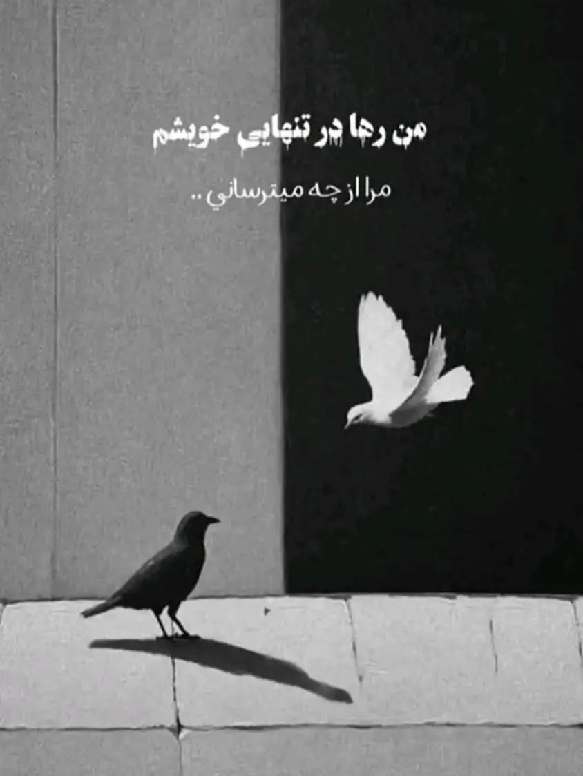 @🇦🇫شعر و موسیقی