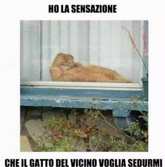 @༒☬BARBARA☬༒