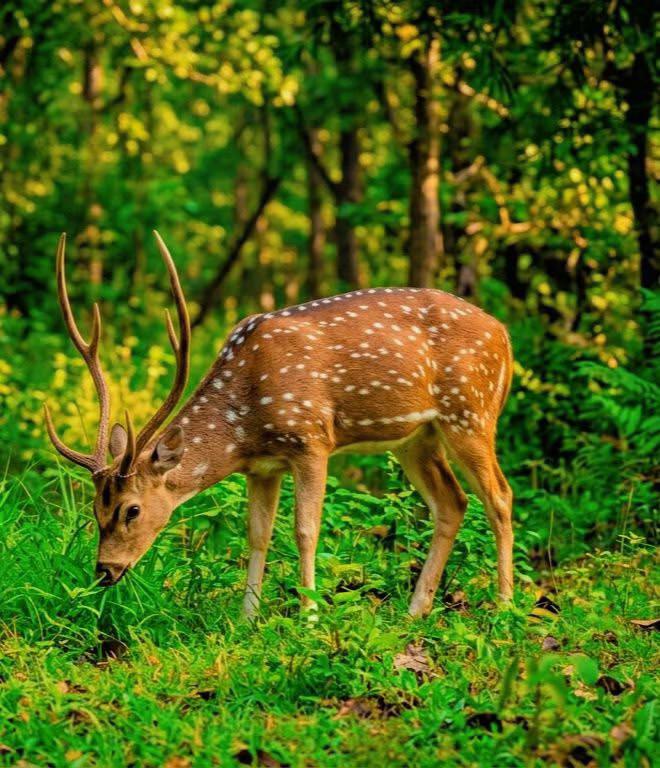 @๐๐ณ๐ดBORSTAD1980๐ณ๐ดโค๏ธโ๐