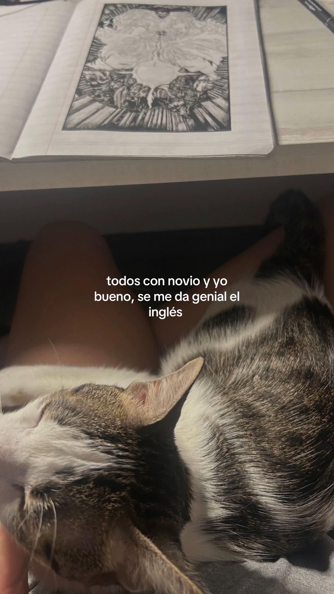 @￶ℒ
