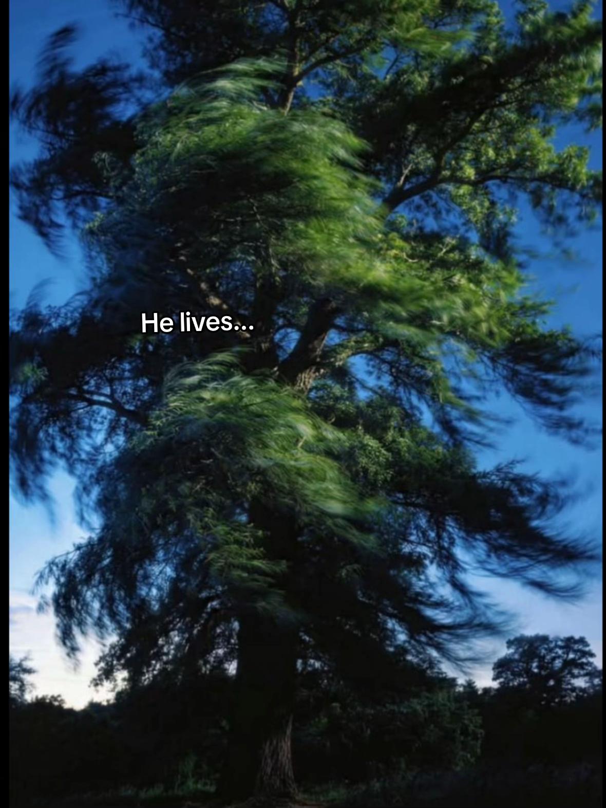 @𝐼𝑠𝑢𝑠 𝑡𝑒 𝑖𝑢𝑏𝑒𝑠𝑡𝑒