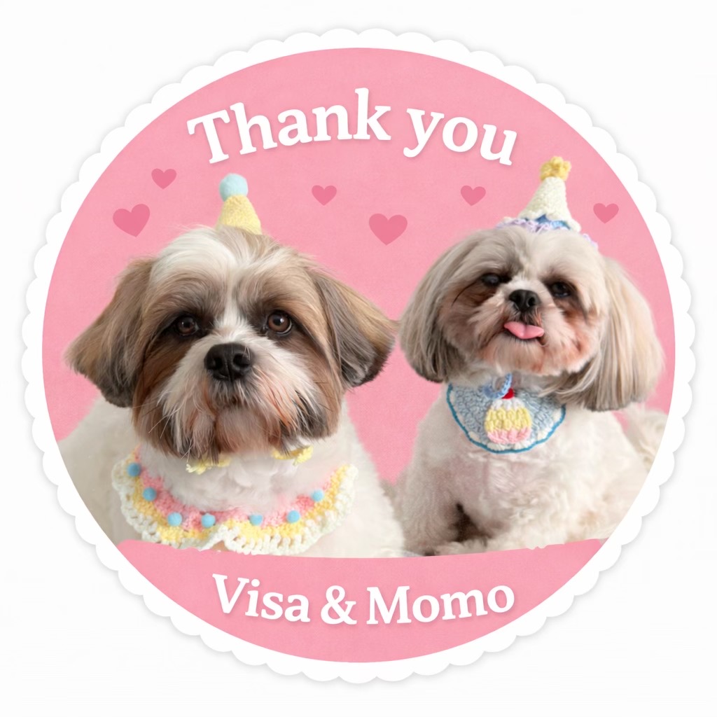 @visaandmomo