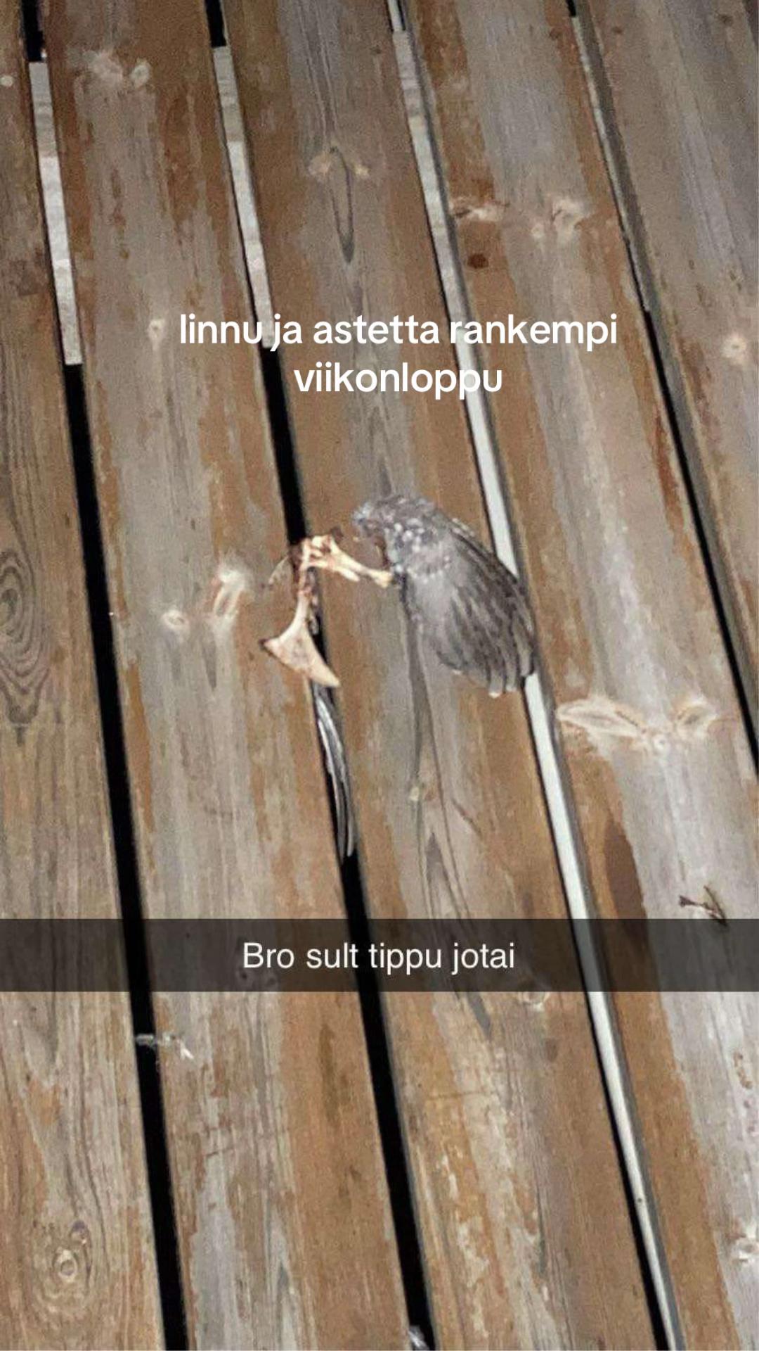 @millajohanna