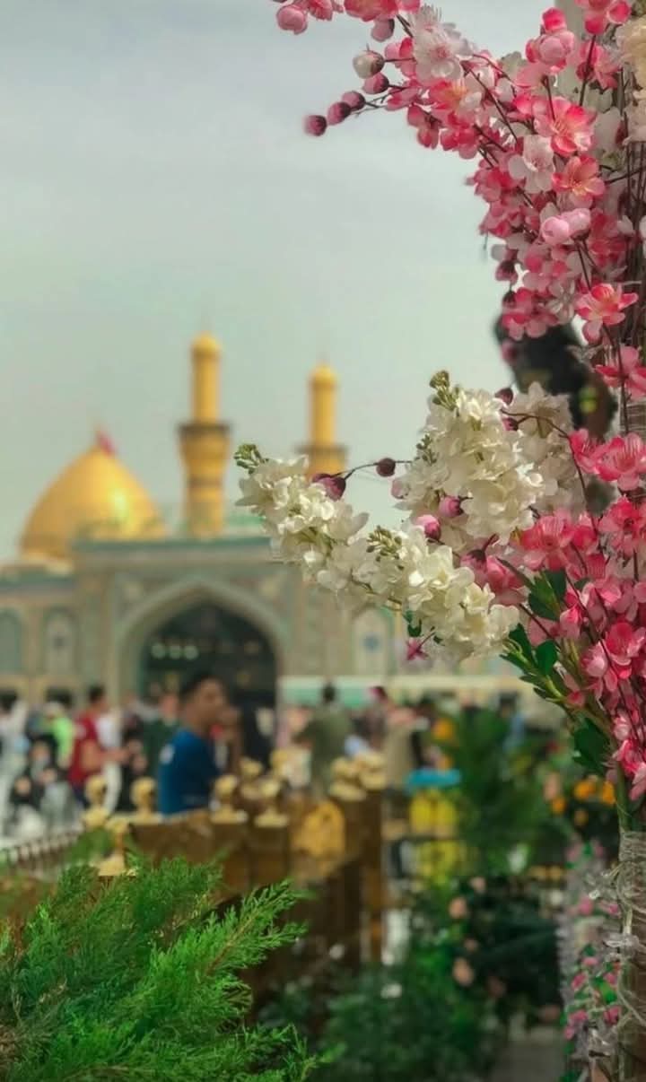 @Bint_E_Maqbool827