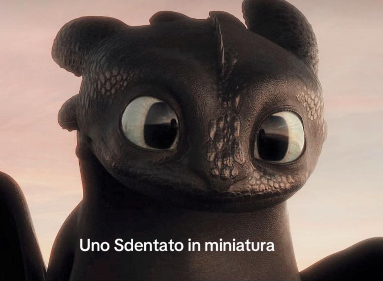 @Annie Citarella