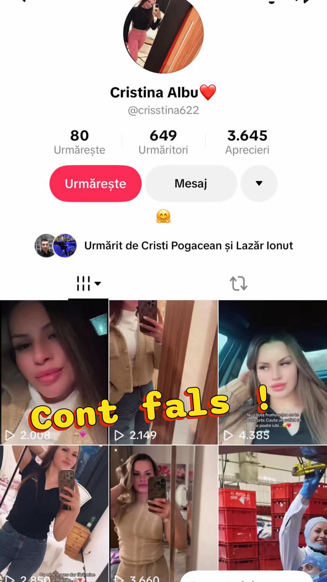 @Cristina Sebezan