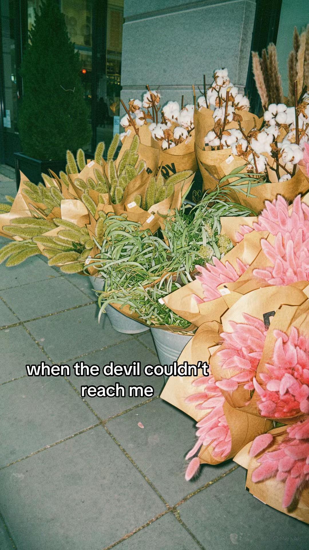 @Paula