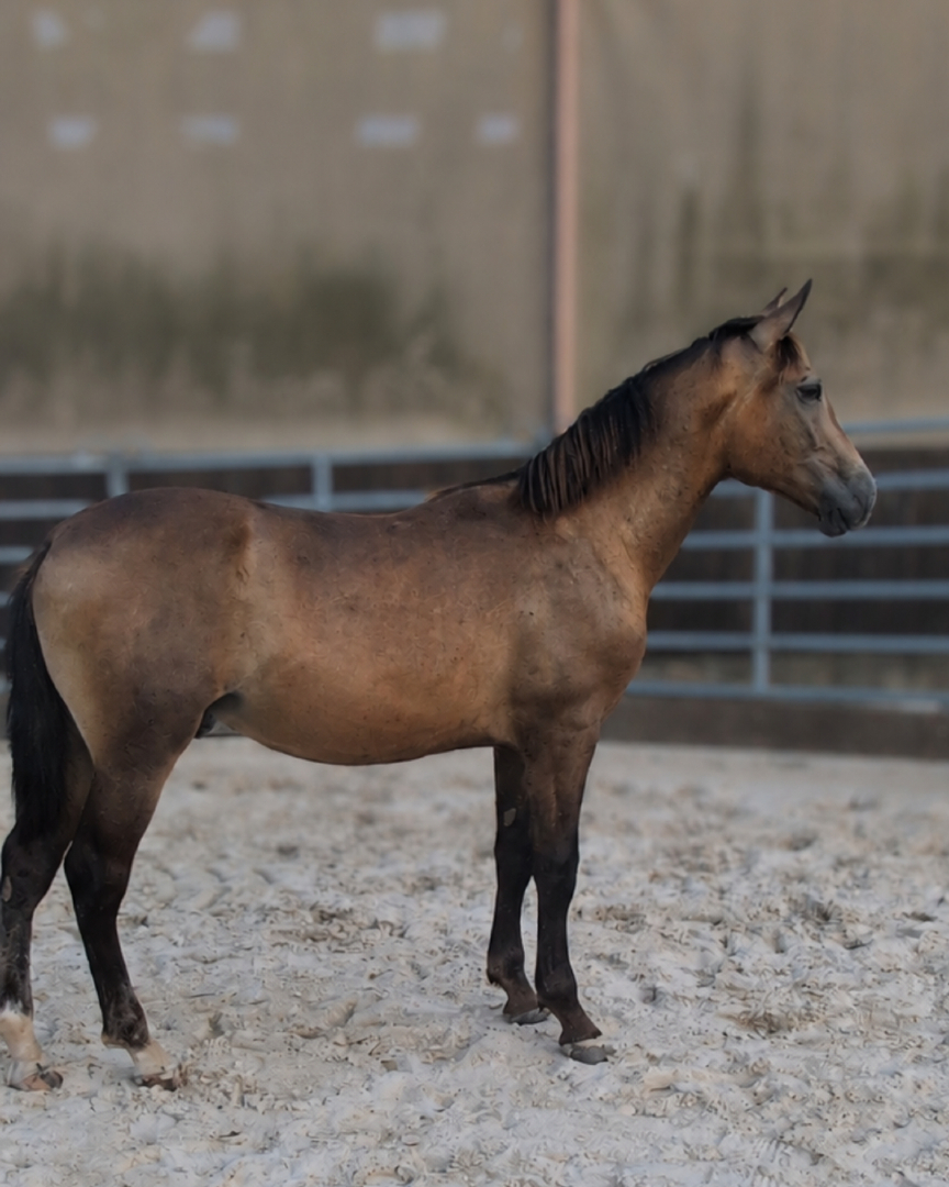 @Alegria Relation de Complicité