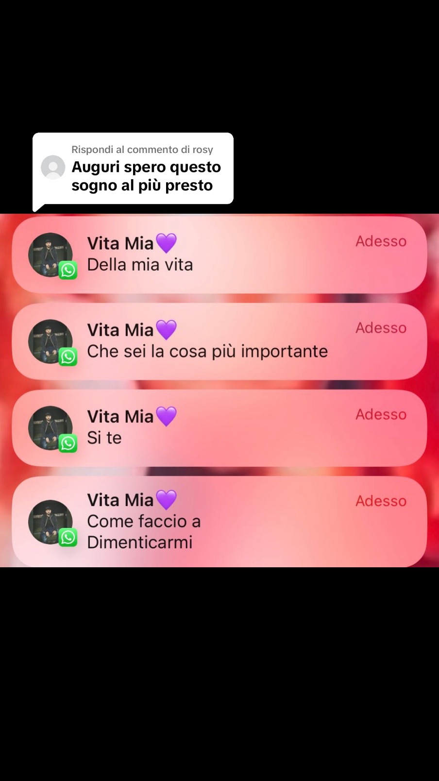 @agnesepanicoreinavgd