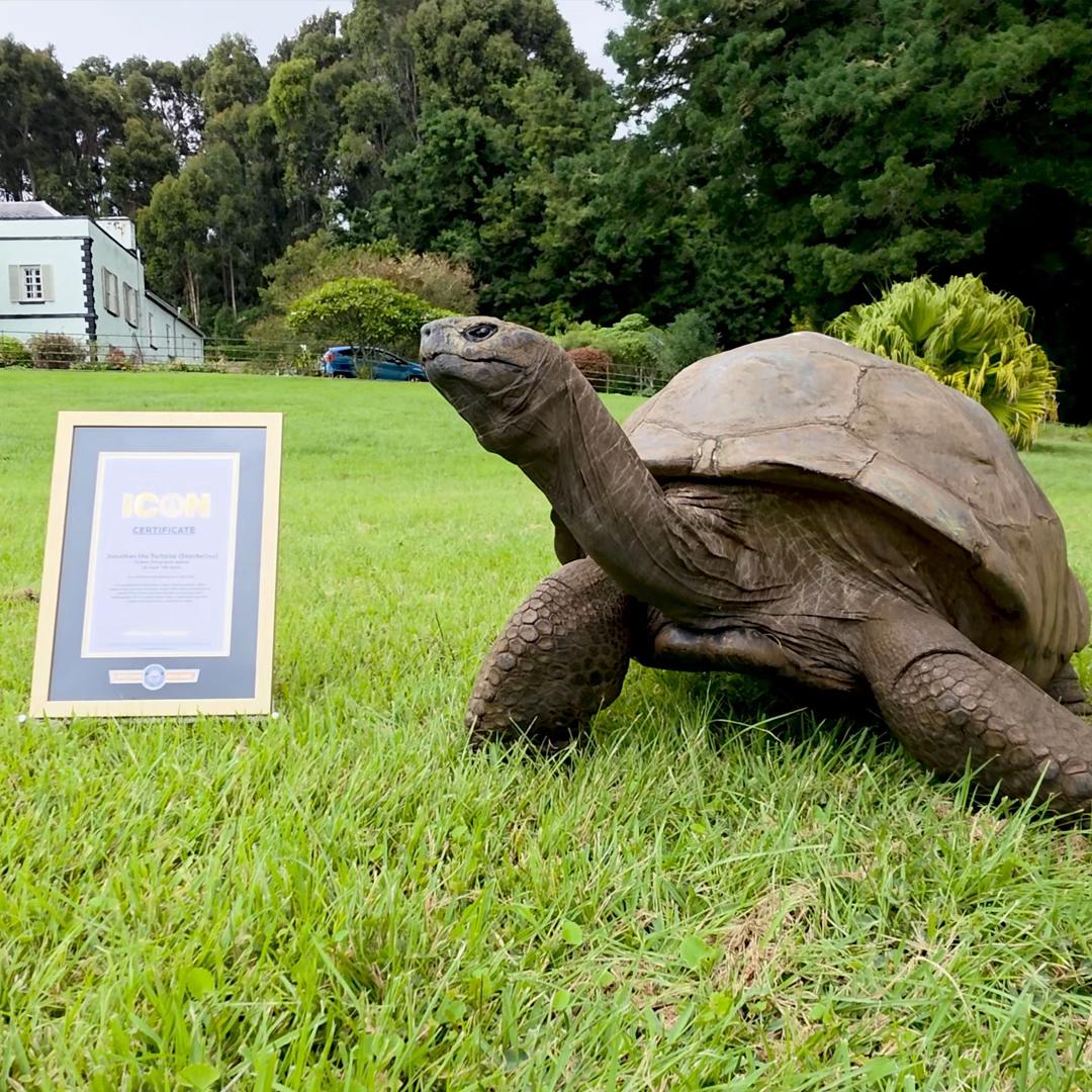@Guinness World Records