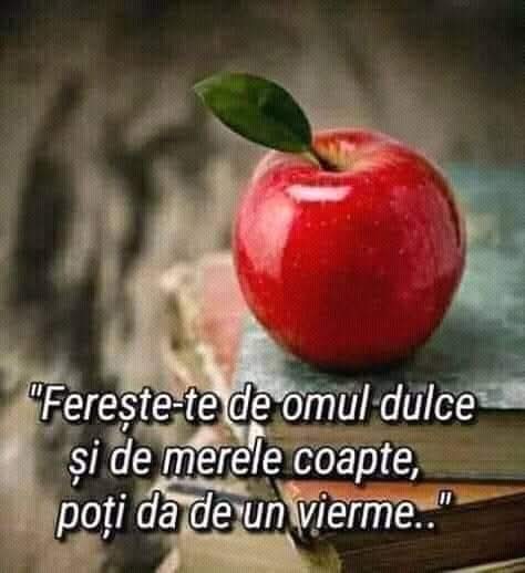 @Carmen Ciobanu