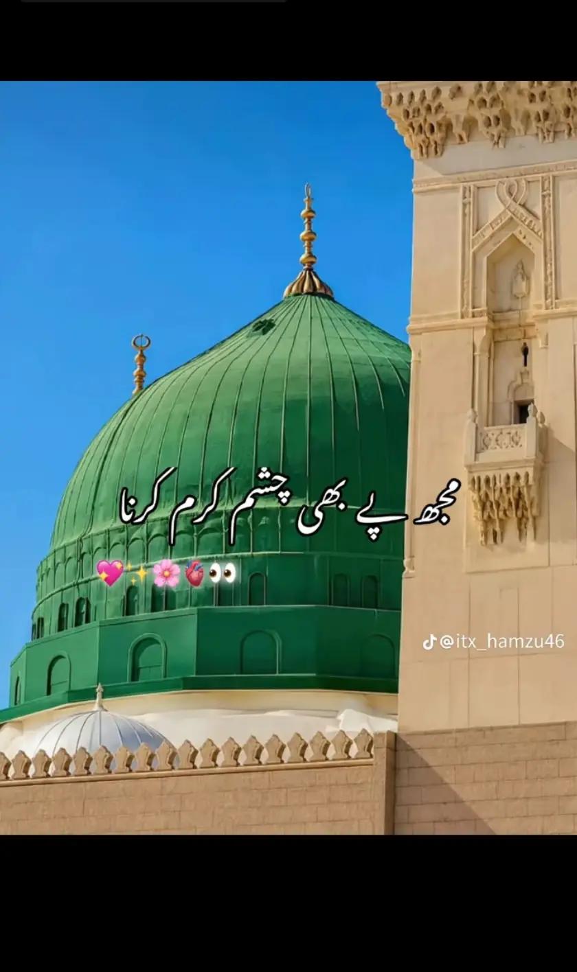 @Saqib Ali001✅⛎