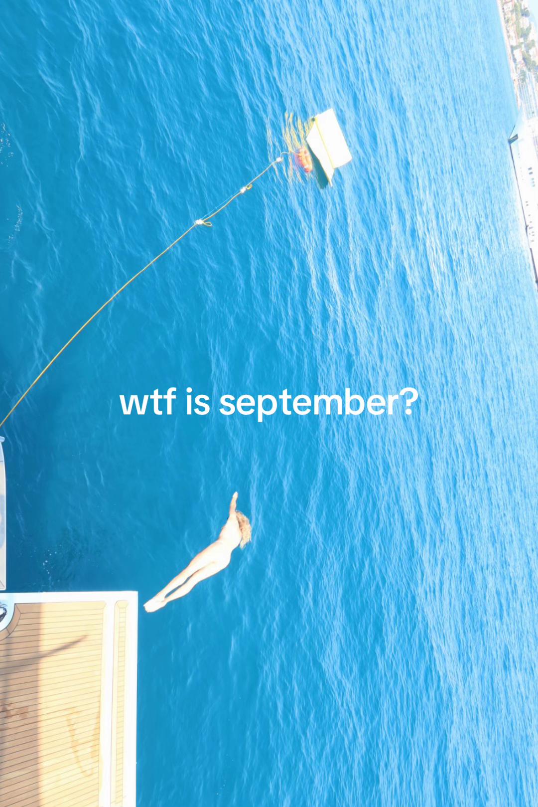 @Sofi.Savi
