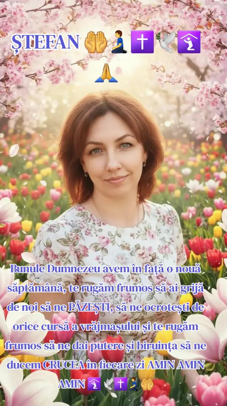 @🔷️🔵ȘTEFAN 🔵🔷️