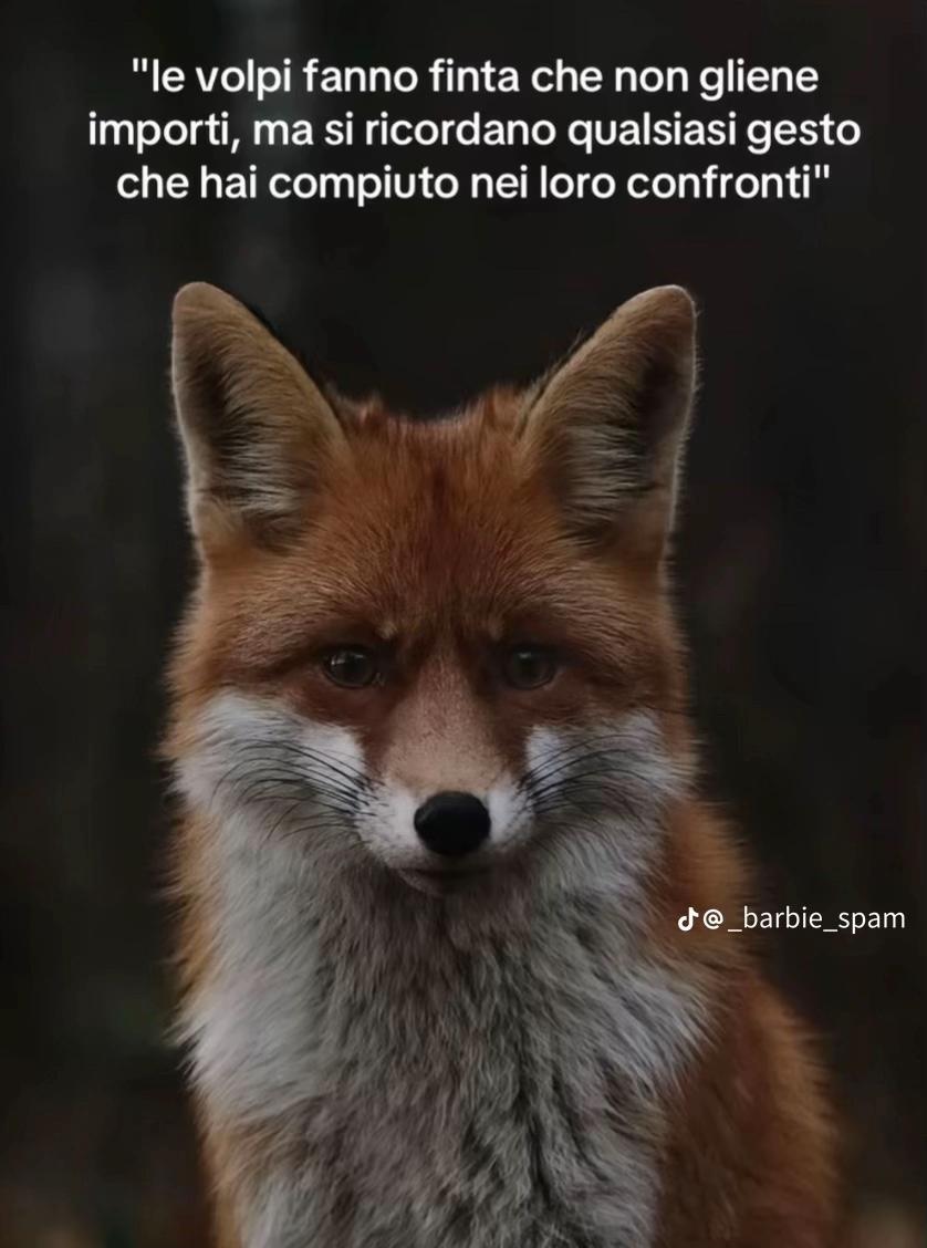 @Fedeee