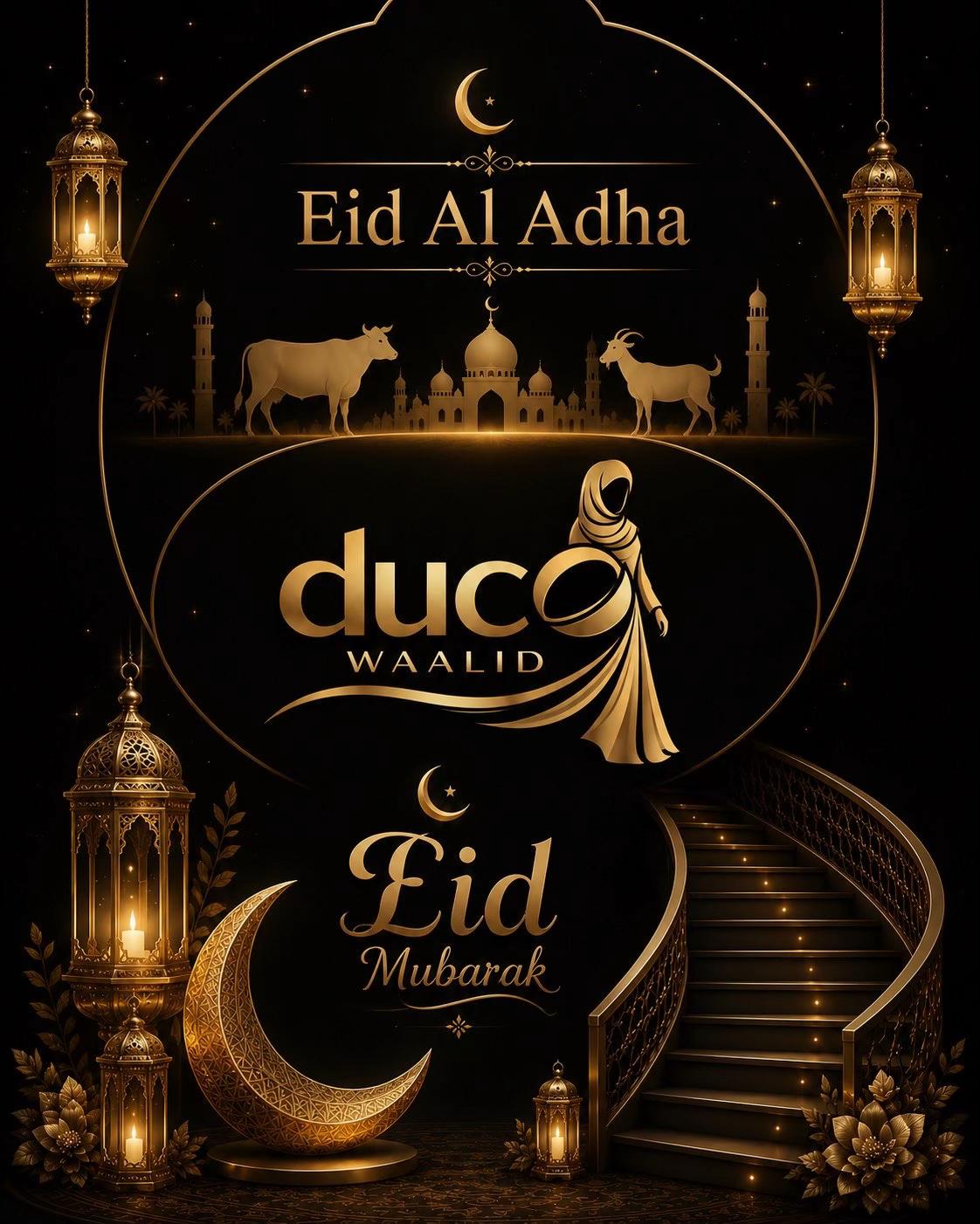 @duco_walid4