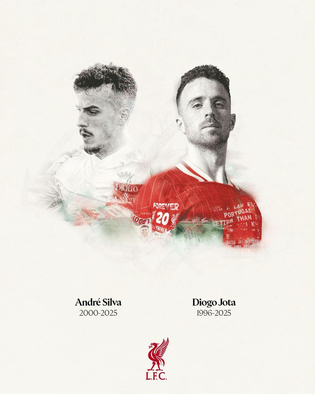 @lfc.hdzy