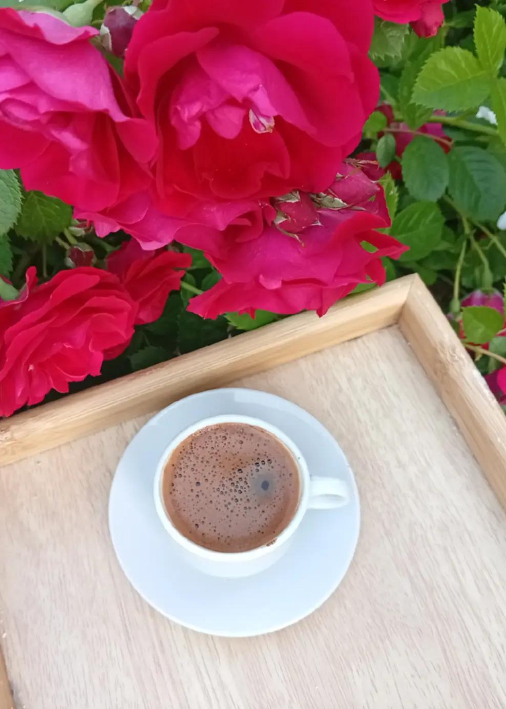 @أثًر  ادلبـﮧَِ💚ۦـية