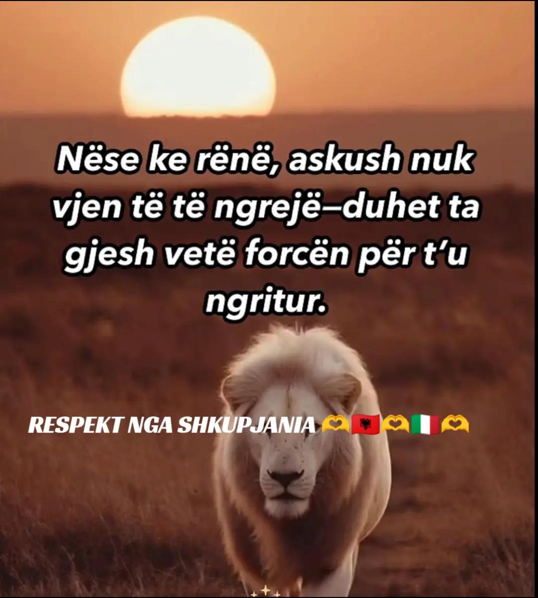 @Shkupjane🫶🇦🇱🫶🇮🇹🫶