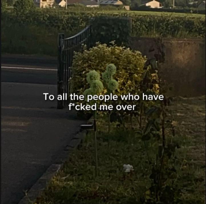 @Kai <3